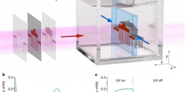 ͼ1 Xolography 3Dӡ.png