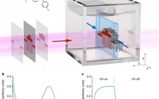 ͼ1 Xolography 3Dӡ.png