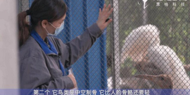 2-png ¶¯Îï½ÃÕý2.png