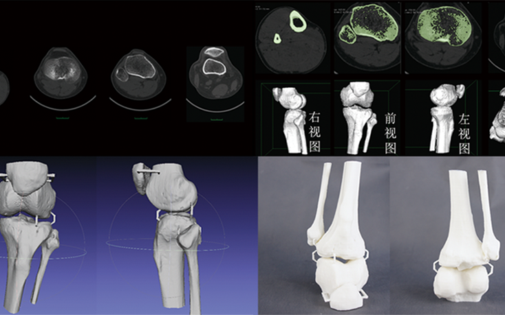 CTάؽģģ;ϸģ޸ģ3Dӡٳ